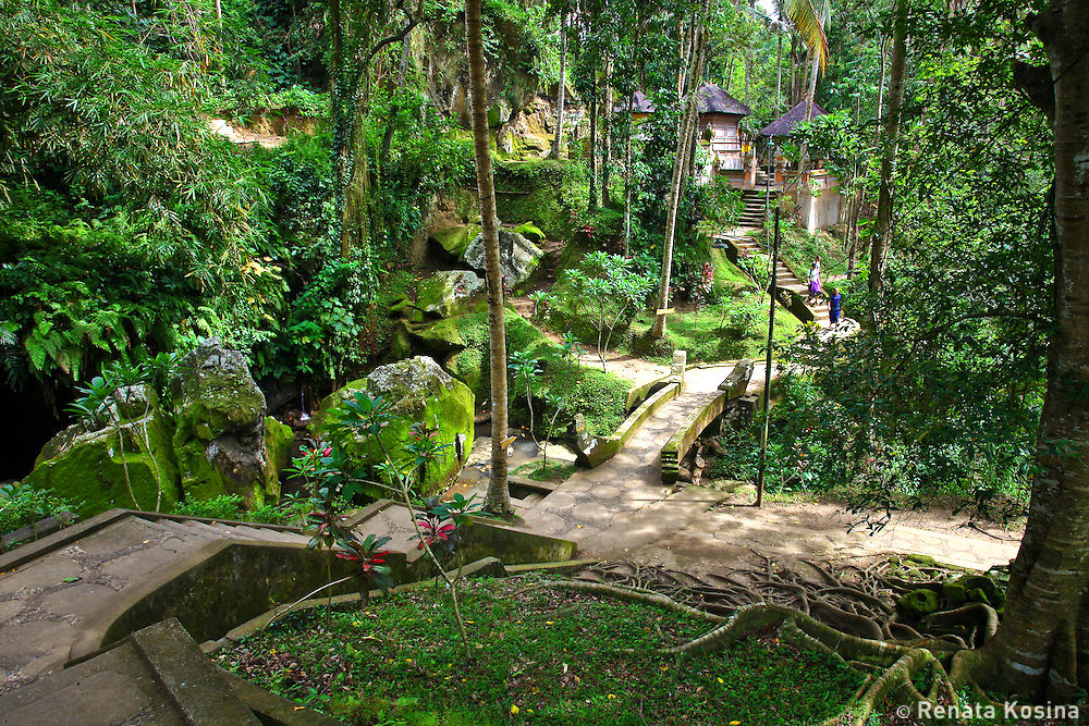 Neighborhood in Bali